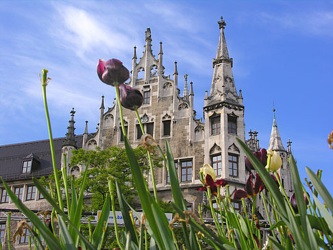 Neues Rathaus