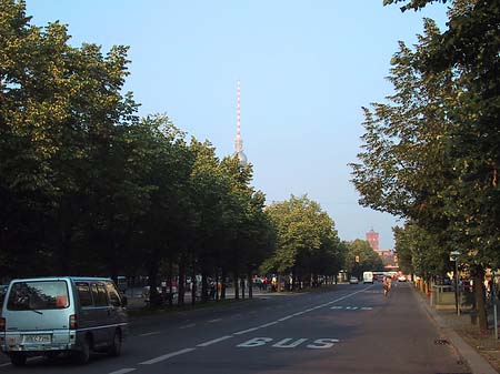 Unter den Linden Foto 