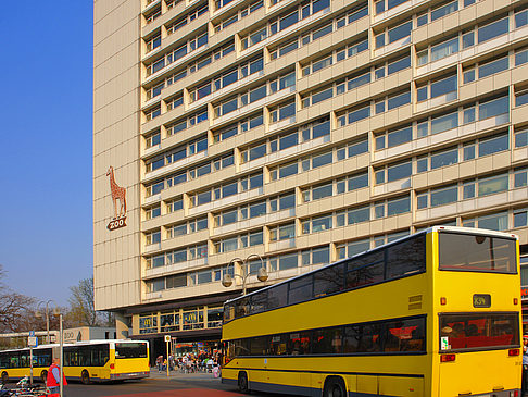 Busse am Bahnhof Foto 