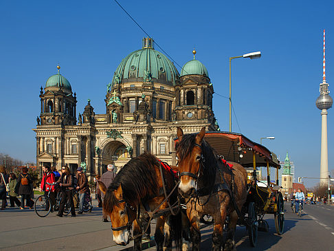 Dompferde