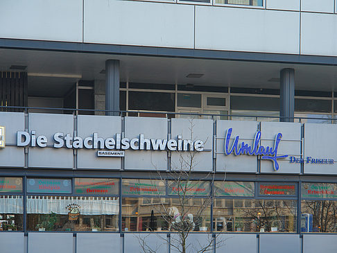 Fotos Die Stachelschweine