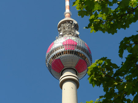 Foto Fernsehturm und Bäume - Berlin