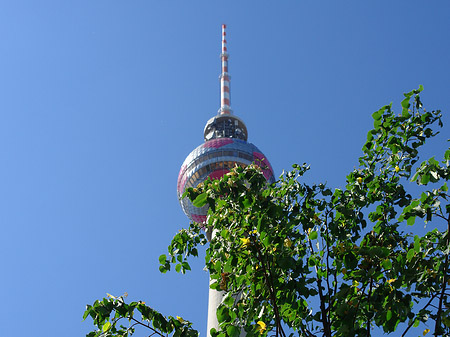 Fernsehturm und Bäume