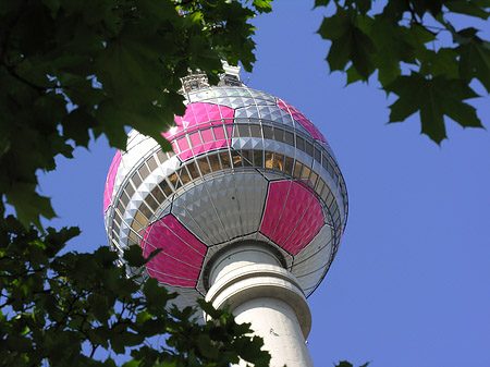 Fernsehturm und Bäume Fotos
