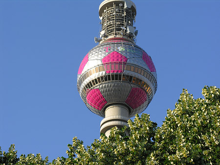 Fernsehturm und Bäume