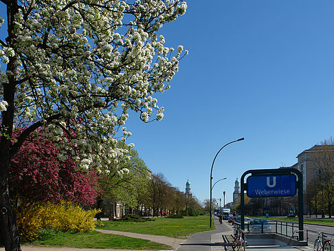 Foto Frühling