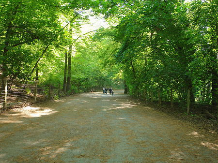 Foto Jagdschloss Grunewald