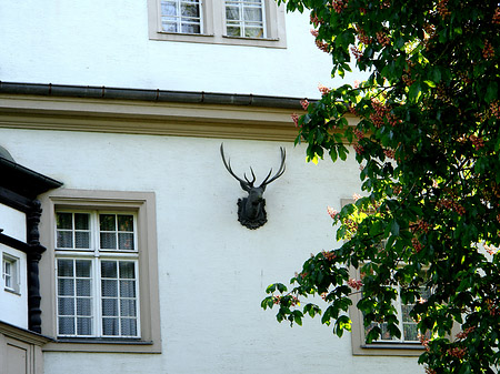 Jagdschloss Grunewald Foto 
