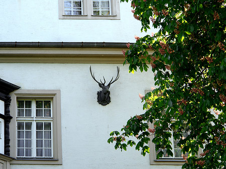 Fotos Jagdschloss Grunewald | Berlin