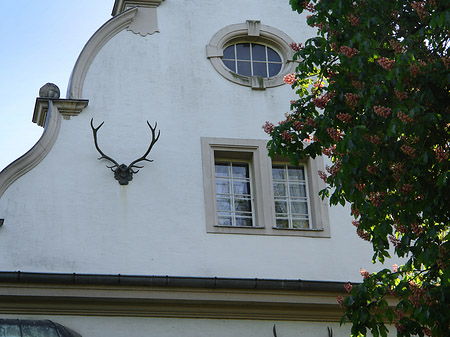 Jagdschloss Grunewald Foto 