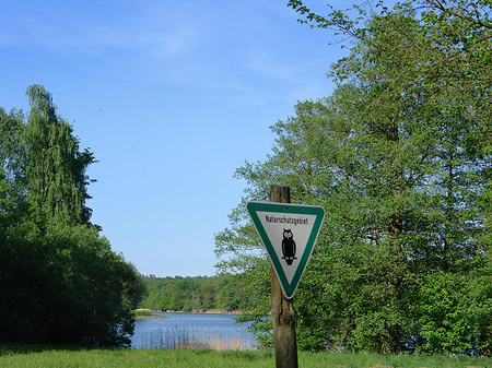 Fotos Jagdschloss Grunewald