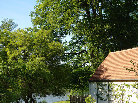 Jagdschloss Grunewald Foto 