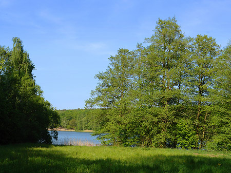 Foto Jagdschloss Grunewald
