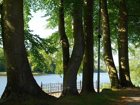 Jagdschloss Grunewald Foto 