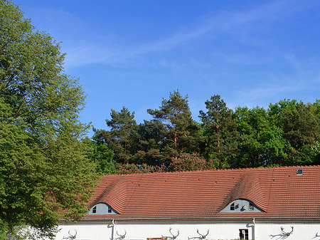 Foto Jagdschloss Grunewald - Berlin