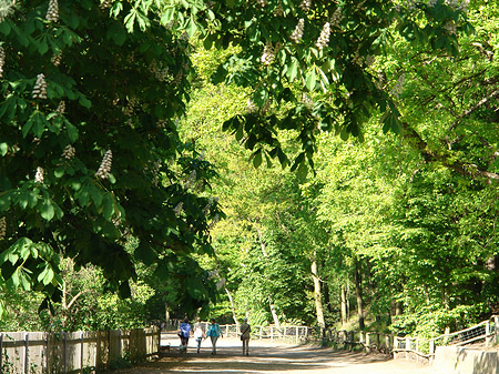 Jagdschloss Grunewald Fotos