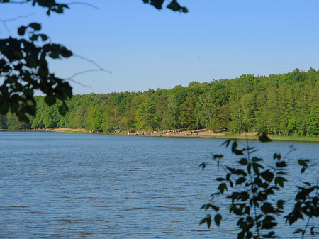 Jagdschloss Grunewald Foto 