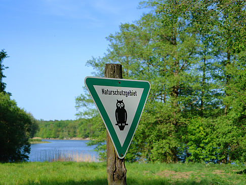Jagdschloss Grunewald Fotos