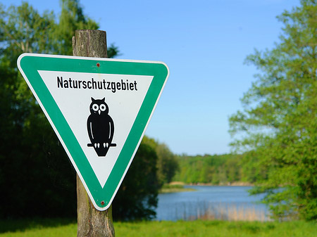 Jagdschloss Grunewald