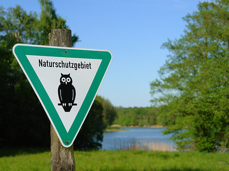 Jagdschloss Grunewald