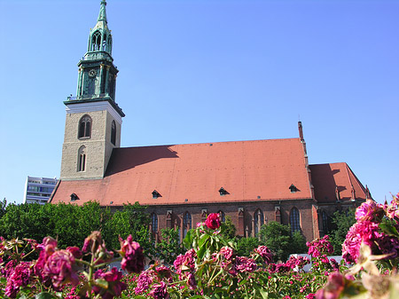 Fotos Marienkirche | Berlin