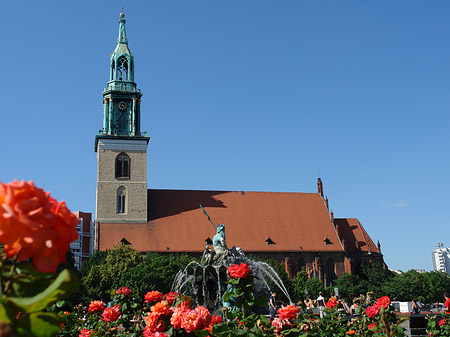 Foto Neptunbrunnen mit Marienkirche