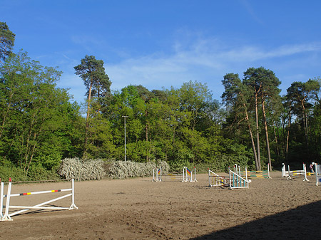 Foto Onkel Toms Hütte