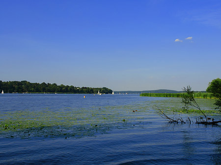 Fotos Havel