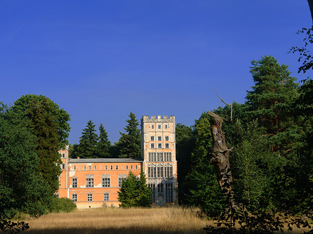 Kavaliershaus auf der Pfaueninsel Foto 
