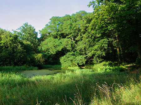 Fotos Pfaueninsel Landschaft