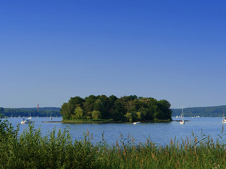 Fotos Ufer an der Pfaueninsel | Berlin
