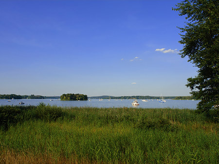 Ufer an der Pfaueninsel