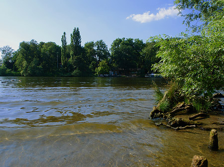 Fotos Ufer an der Pfaueninsel | Berlin