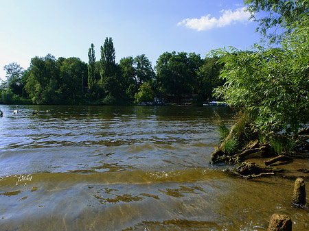 Ufer an der Pfaueninsel Fotos