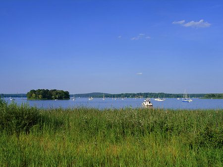 Ufer an der Pfaueninsel Fotos