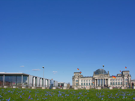 Foto Blumenwiese - Berlin