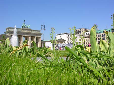Pariser Platz Fotos