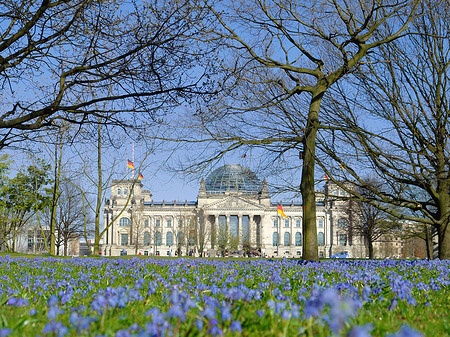 Fotos Blumenwiese am Reichstag