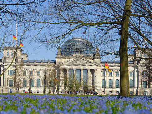 Blumenwiese am Reichstag