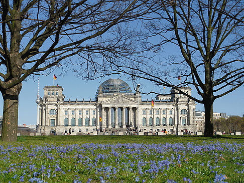 Blumenwiese am Reichstag Fotos