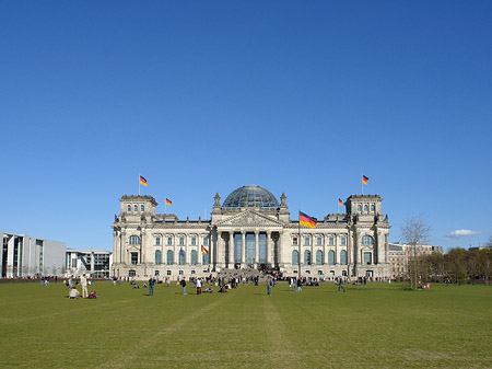Foto Wiese