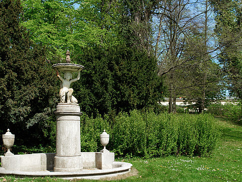 Foto Brunnen