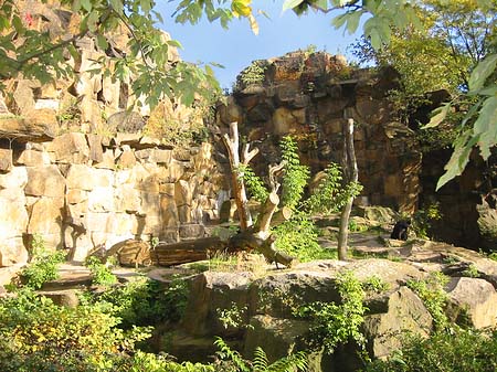 Foto Tierpark