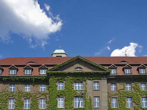 Rathaus Spandau