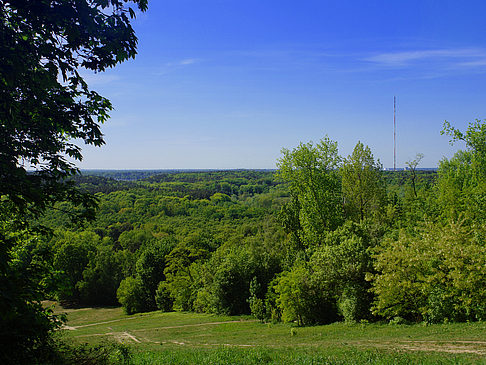 Aussicht vom Teufelsberg Fotos
