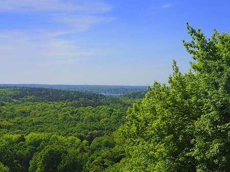 Aussicht vom Teufelsberg