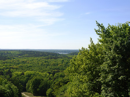 Fotos Aussicht vom Teufelsberg | Berlin