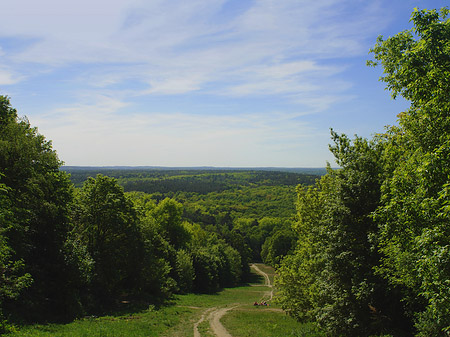 Foto Aussicht vom Teufelsberg