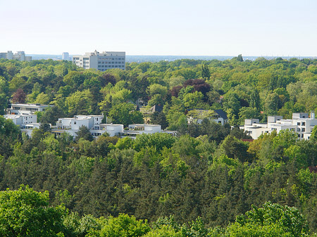 Fotos Aussicht vom Teufelsberg