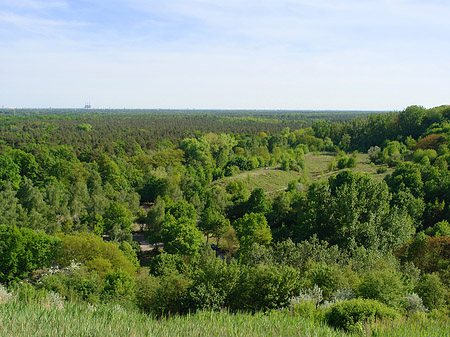 Aussicht vom Teufelsberg